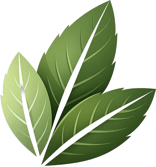 EveryGreen academy